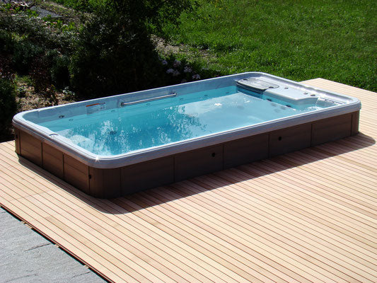 Filter für Swim Spa